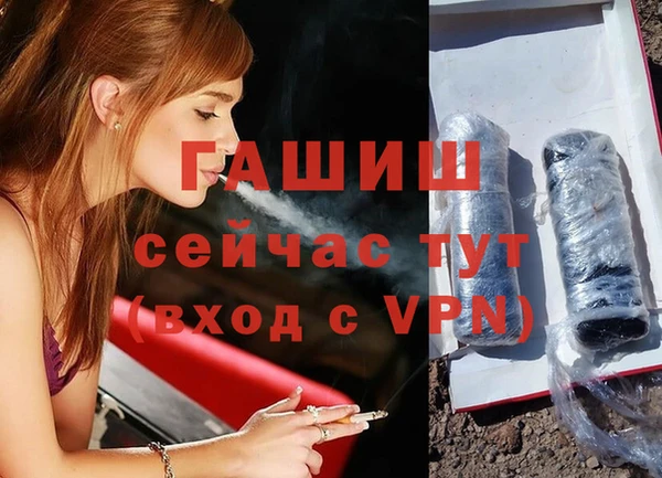 гидра Белокуриха