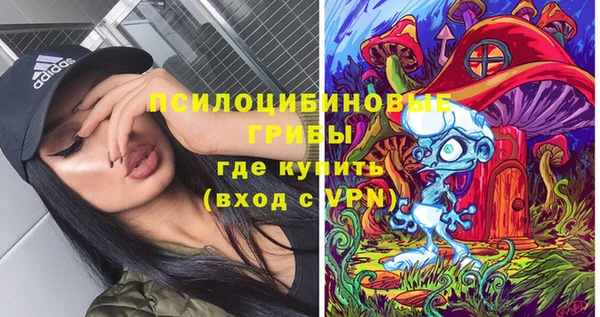 гидра Белокуриха