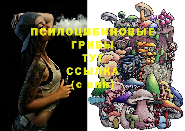 гидра Белокуриха