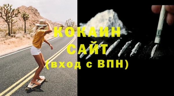 гидра Белокуриха