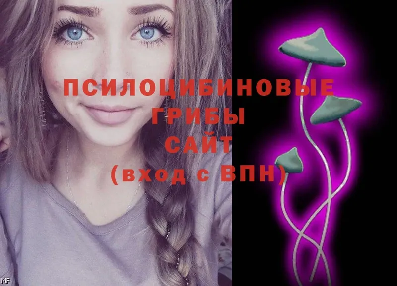 Галлюциногенные грибы Magic Shrooms  MEGA вход  Буйнакск 