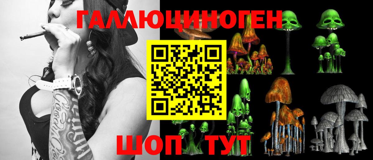 Галлюциногенные грибы Psilocybe Буйнакск